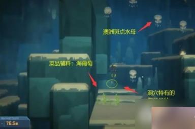 潜水员戴夫澳洲斑点水母如何抓捕