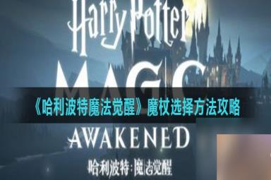 《哈利波特魔法觉醒》魔杖选择方法攻略