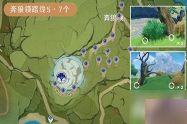 原神3.8版本钩钩果效率采集路线是什么