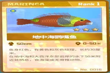 《潜水员戴夫》地中海鹦嘴鱼捕捉攻略