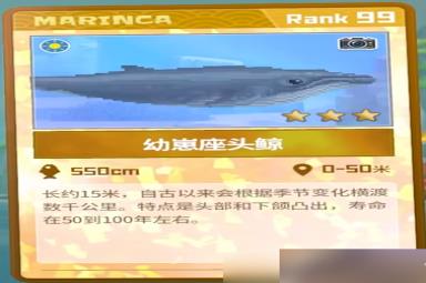 《潜水员戴夫》幼崽座头鲸抓捕攻略