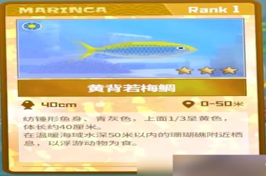 《潜水员戴夫》黄背若梅鲷抓捕攻略