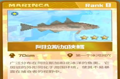 《潜水员戴夫》阿拉斯加狭鳕抓捕攻略