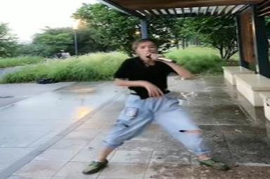 恐龙抗狼梗图表情包分享
