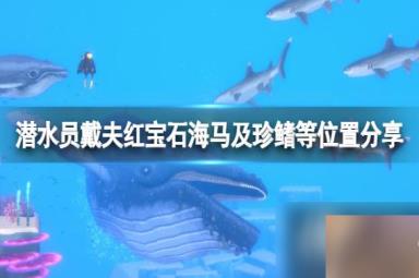《潜水员戴夫》虎尾海马在哪里抓？红宝石海马及珍鳍等位置分享