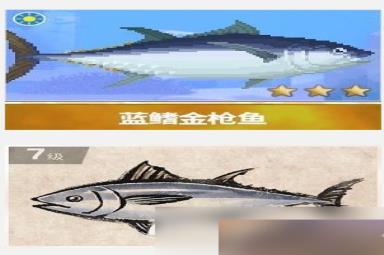 潜水员戴夫蓝鳍金枪鱼捕捉攻略