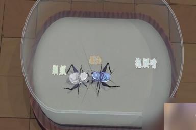 沉默的蟋蟀需要什么配置