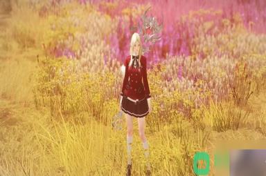 女巫PVP加点推荐_命运方舟女巫PVP加点