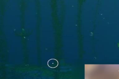 深海迷航踏浪者在哪里？