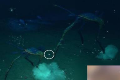 深海迷航踏浪者在哪里？