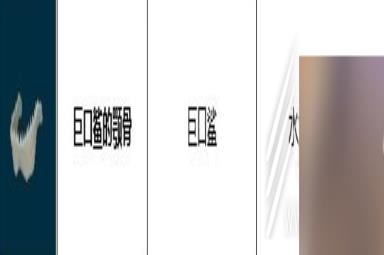 潜水员戴夫巨口鲨的颚骨在哪刷