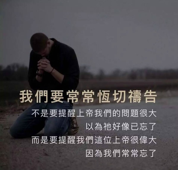 官网下载WhatsApp_whatsapp怎么下载官网_官网下载软件