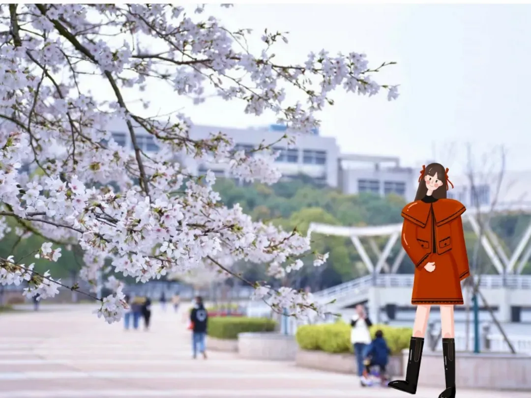 落樱散华抄_落樱散华抄_落樱散华抄