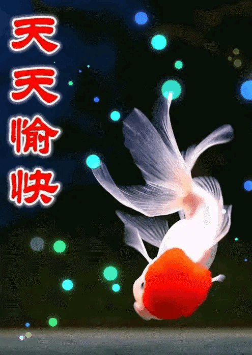 手机动态图片大全_大全动态图片手机版_大全动态图片手机壁纸高清