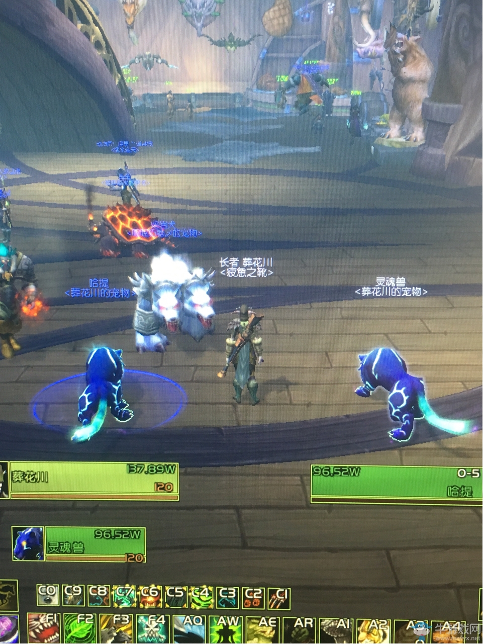 魔兽世界宠物哪个好_魔兽世界宠物世界任务怎么做_魔兽世界2带1宠物