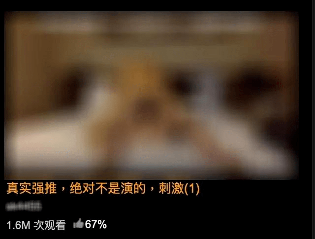 telegram看视频_telegram看视频_telegram看视频