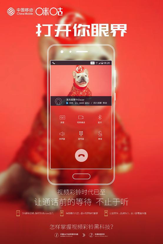 官网whatsapp下载安装_whatsapp官网下载_whatsapp官网版载