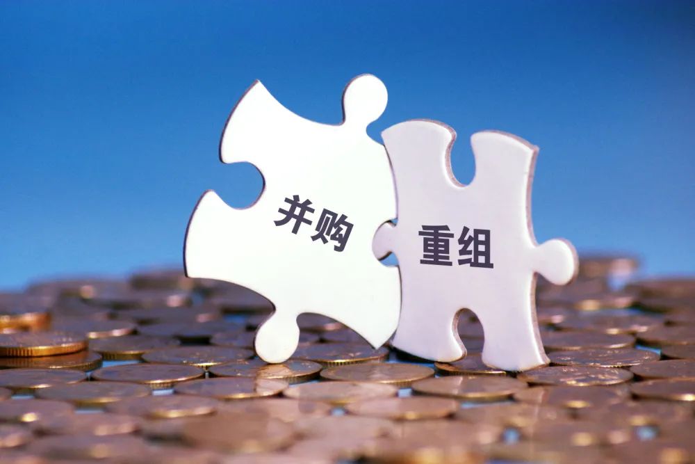 公司是什么意思_whatsapp是那个公司_公司是企业吗