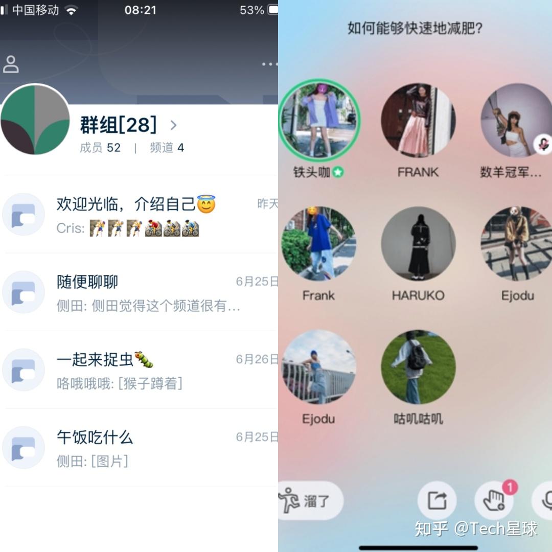 官网whatsapp下载安装_whatsapp官网版下载_whatsapp官网下载