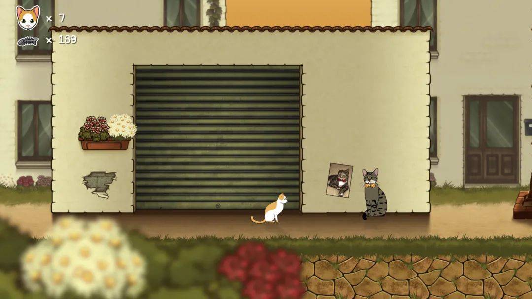 猫咪生活日常手机游戏_猫咪的日常游戏_猫咪的手机游戏