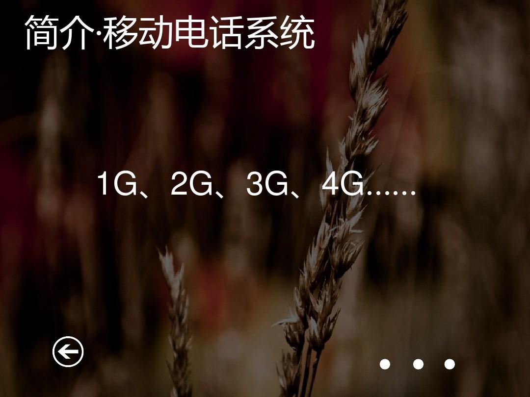 官网whatsapp下载安装_whatsapp官网版下载_飞飞手游官网下载版