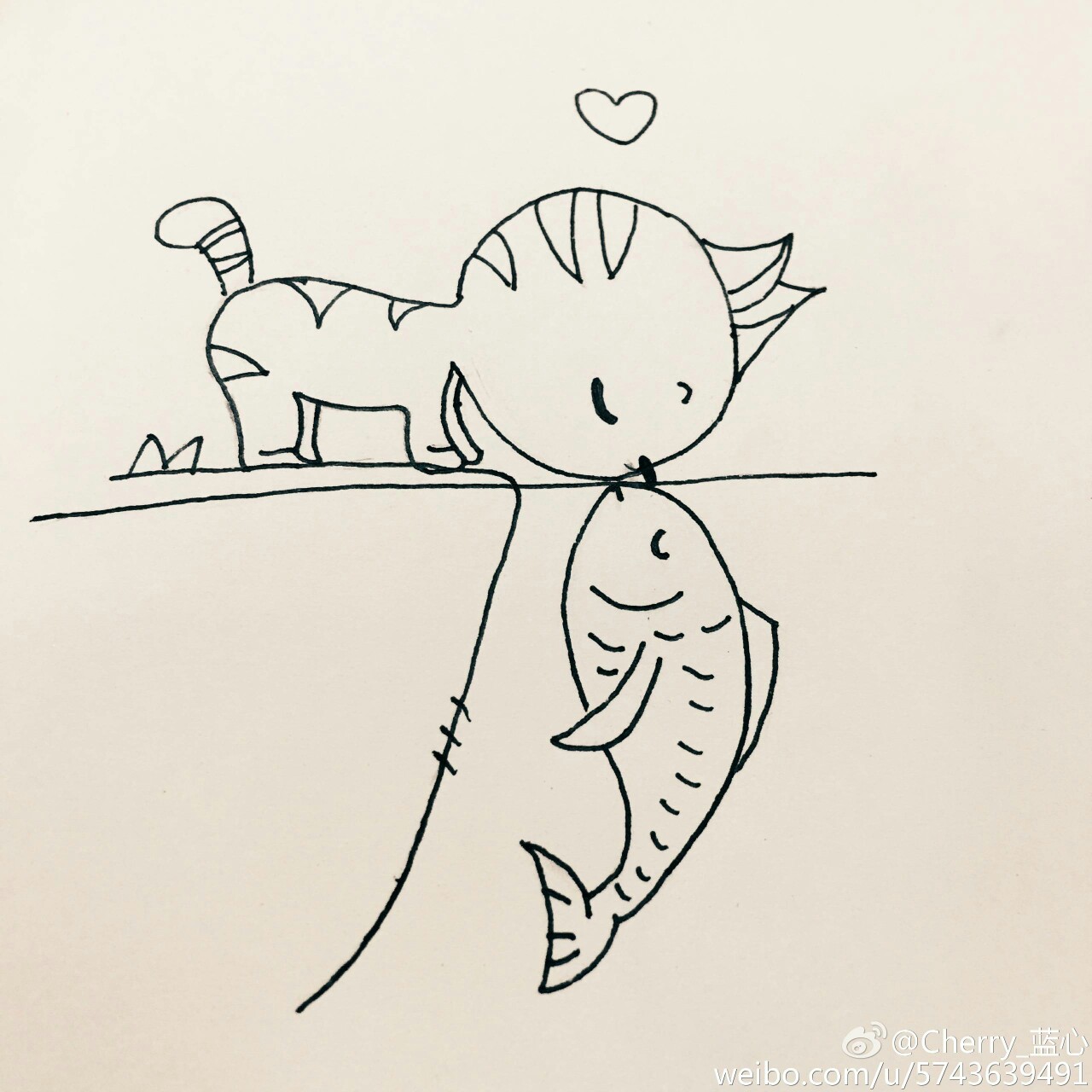 猫玩的小鱼游戏_猫咪小鱼手机游戏_小鱼逗猫app
