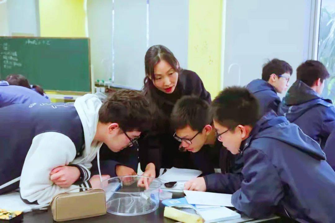 whatsapp是属于什么_whatsapp是什么的缩写_属于是什么关系