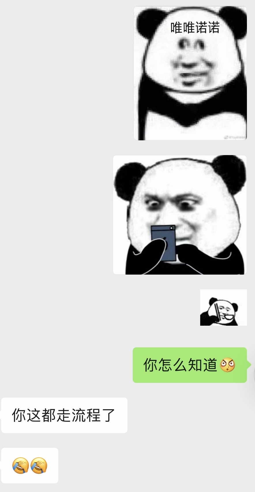 最新版WhatsApp_whatsapp最新版_whatsapp最新版