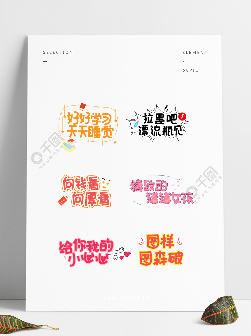 最新版WhatsApp_whatsapp最新版_whatsapp最新版