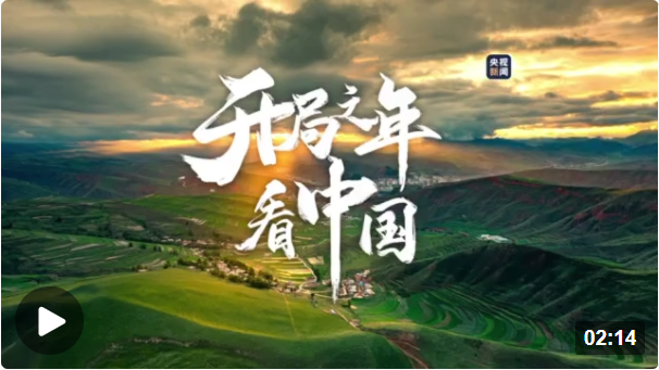 几个人建造城市的手机游戏_建造城市的手机单机游戏_一款建造城市的游戏