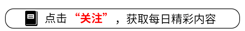 允许玩吃鸡游戏的手机_手机喂鸡游戏_也能吃鸡