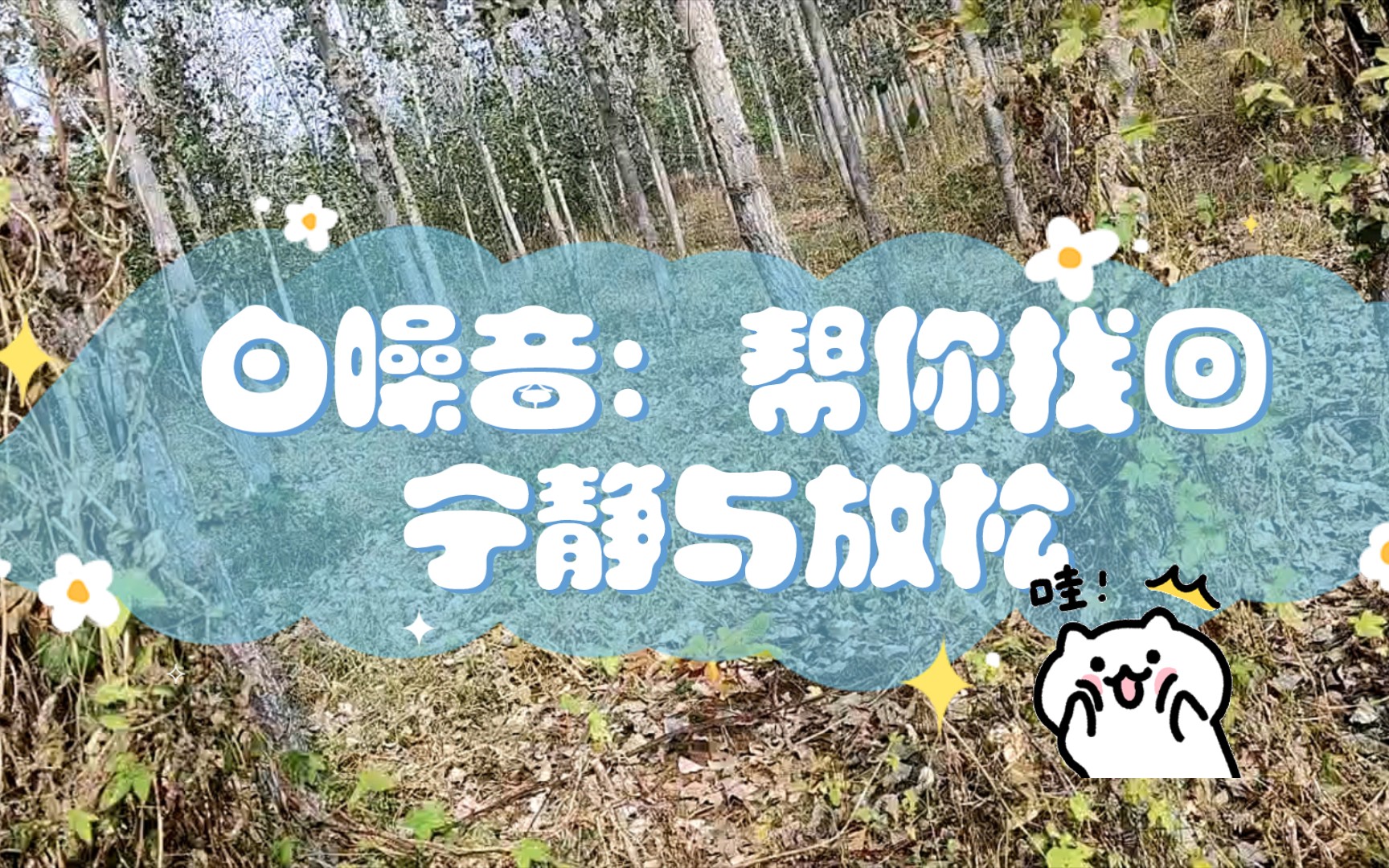 清除telegram内存_清除telegram登录数据_telegram怎么清除
