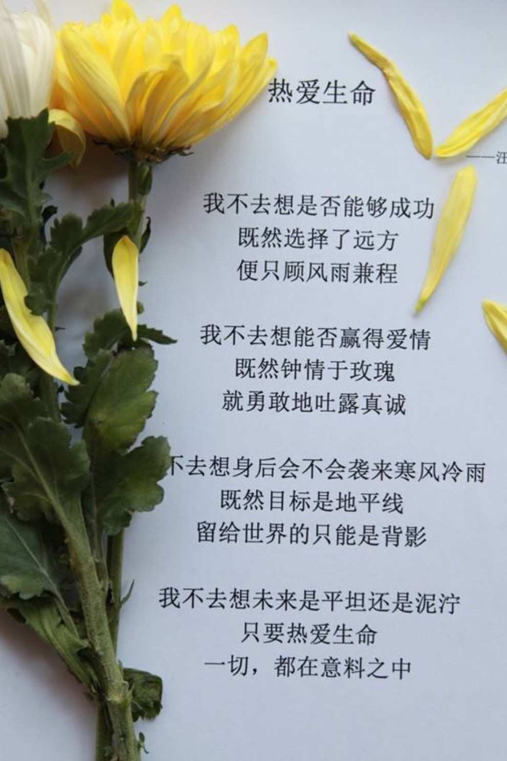 telegram加密_打开Telegram_telegram打开