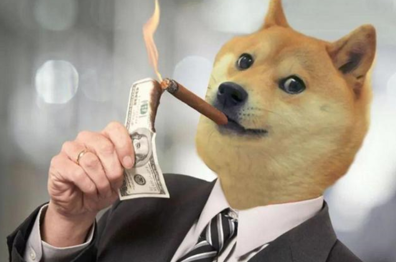 狗狗币钱包dogecoin_钱包狗狗币_tp钱包狗狗币主网