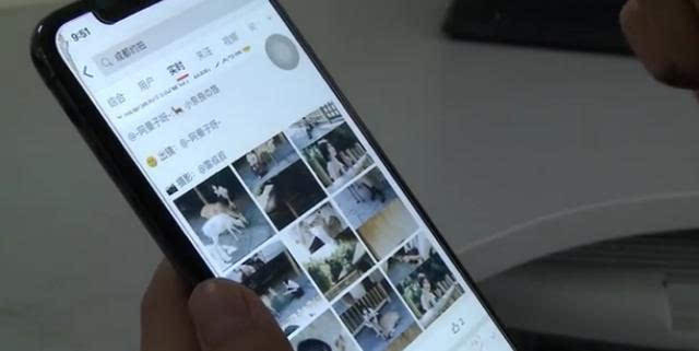whatsapp官方下载中文版_whatsapp官方下载中文版_whatsapp官方下载中文版