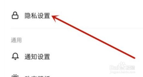 王者荣耀上线隐身设置_抖音怎么破解对方隐身设置_telegram设置隐身