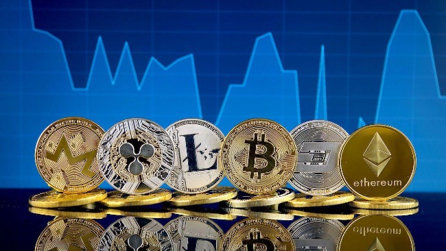 tp钱包 doge_钱包英语_doge表情包百度贴吧