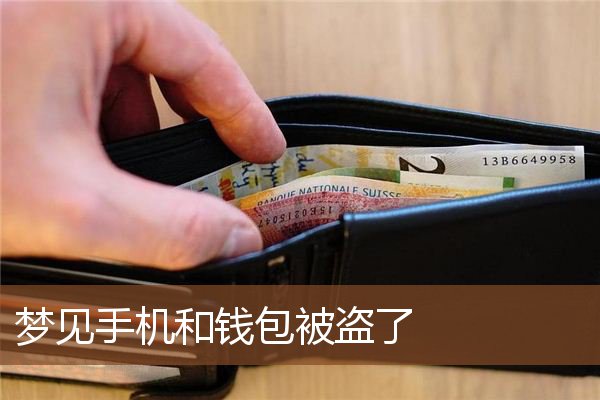钱包被盗预示着什么_tp钱包 被盗_钱包被盗报警会受理吗
