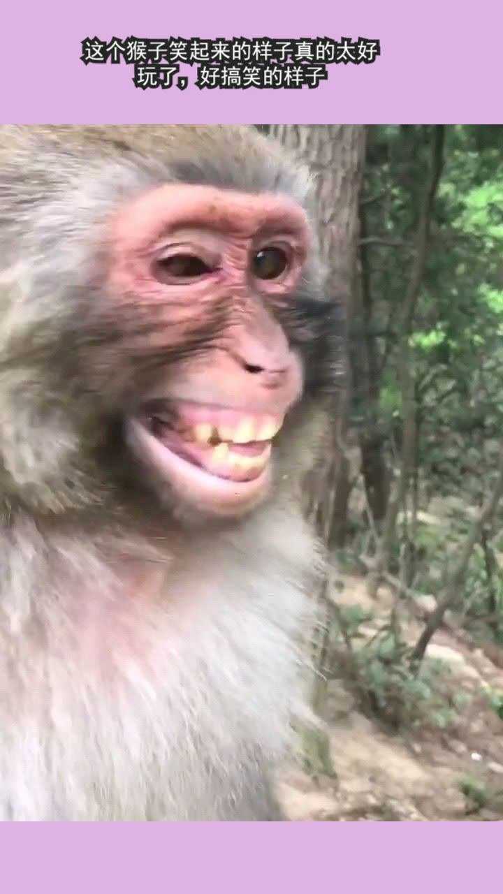 telegram看过的视频_telegram看过的视频_telegram看过的视频