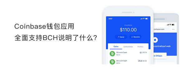 tp钱包安装不了咋情况_tp钱包安装不了_chia钱包安装失败