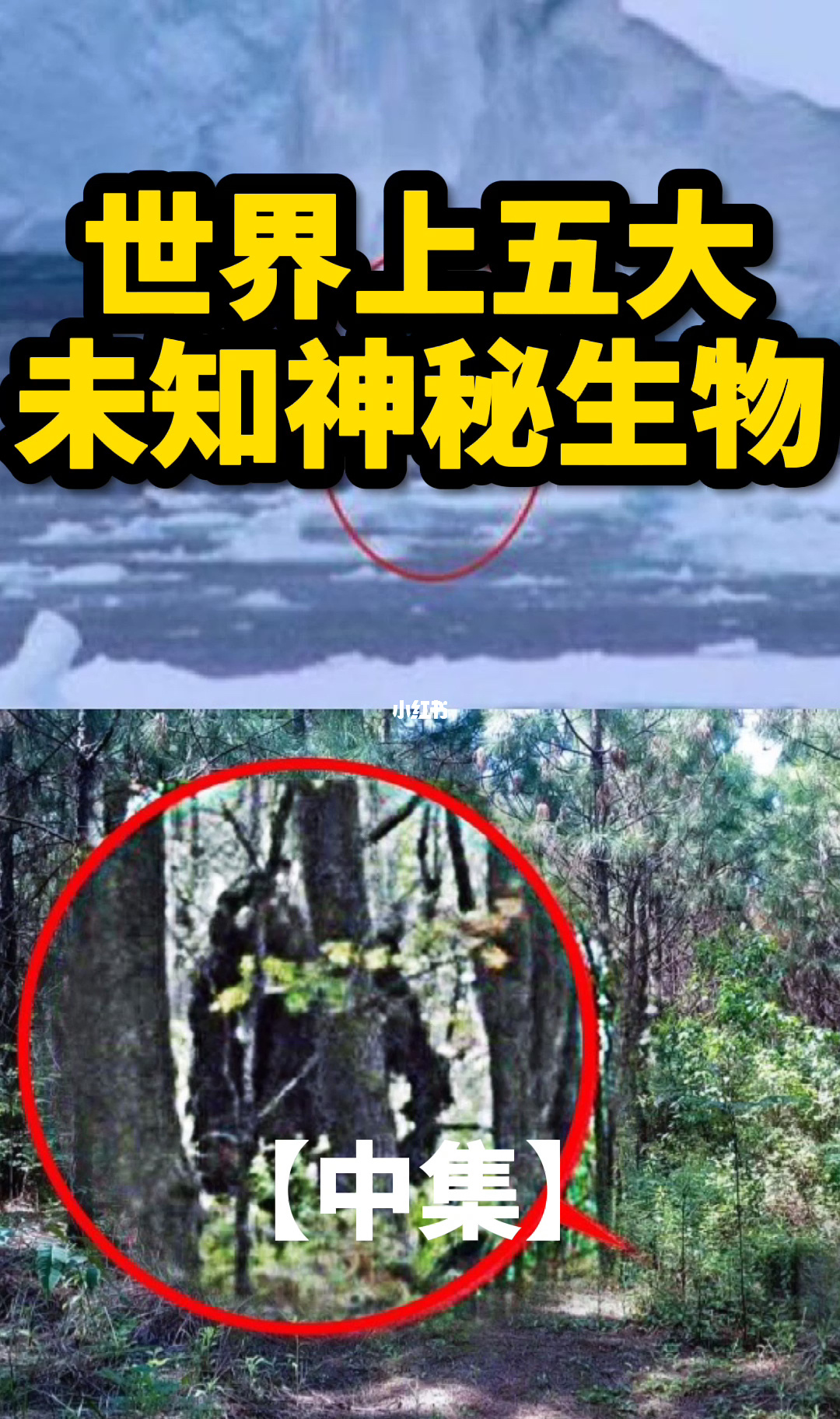 冒险村物语2攻略_冒险物语村转职_冒险村物语攻略道具