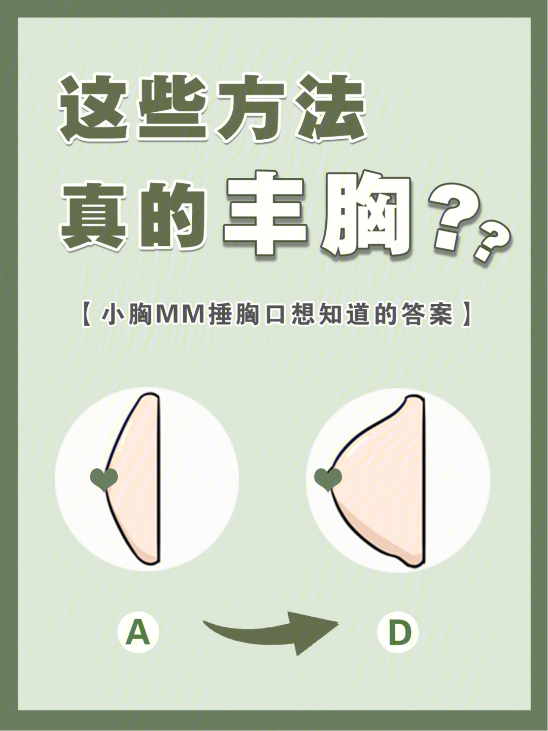看胸软件_看胸软件_看胸软件