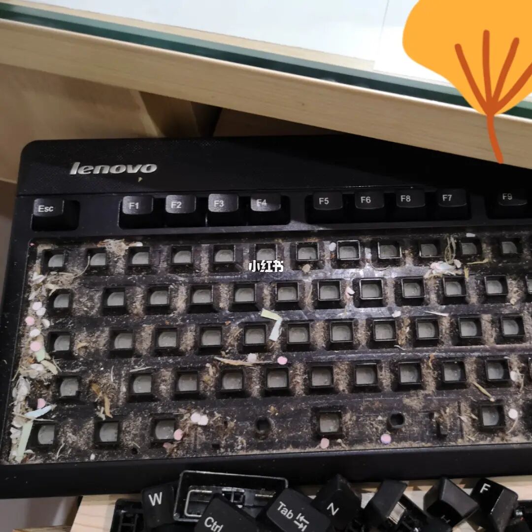 键盘缝隙里很脏怎么清理_如何清理电脑键盘缝隙_清理键盘缝隙的东西