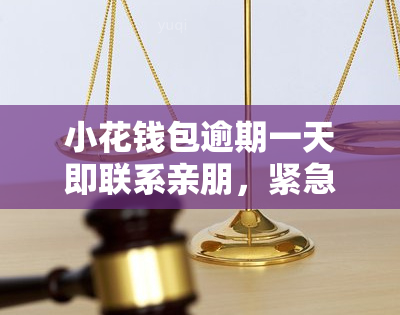 钱包客服是什么_tp钱包客服联系不上_钱包人工客服电话是多少