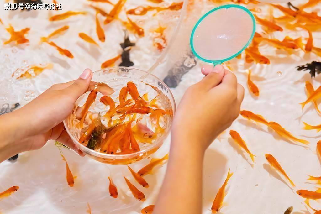 红包游戏2020_2021最良心红包小游戏_红包小游戏测评