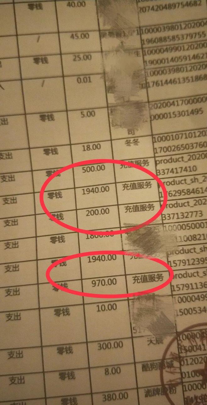 浣熊小熊猫狸猫_steam小浣熊_浣熊小熊猫