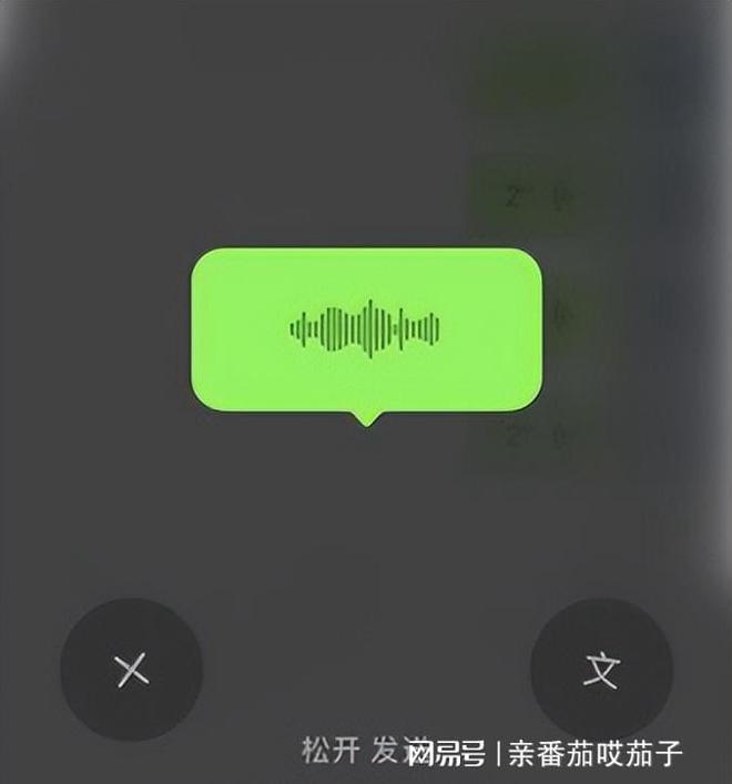 双向塑料土工格栅厂家_双向障碍怎么治疗_telegram 双向