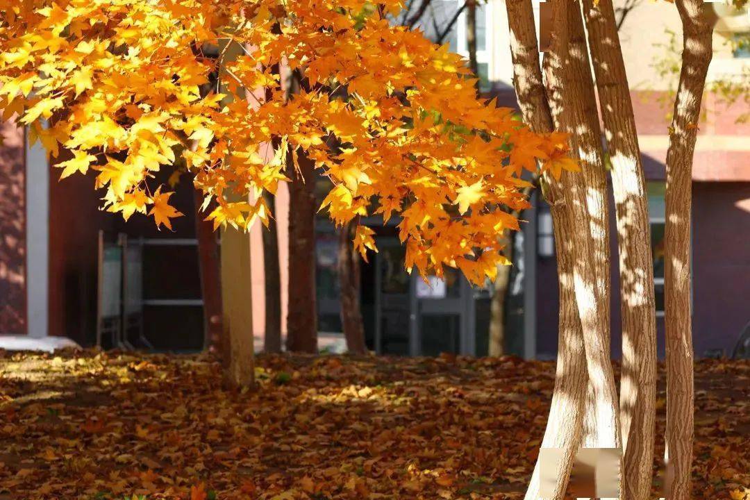 telegram怎么进入暗网_telegram怎么进入暗网_telegram怎么进入暗网