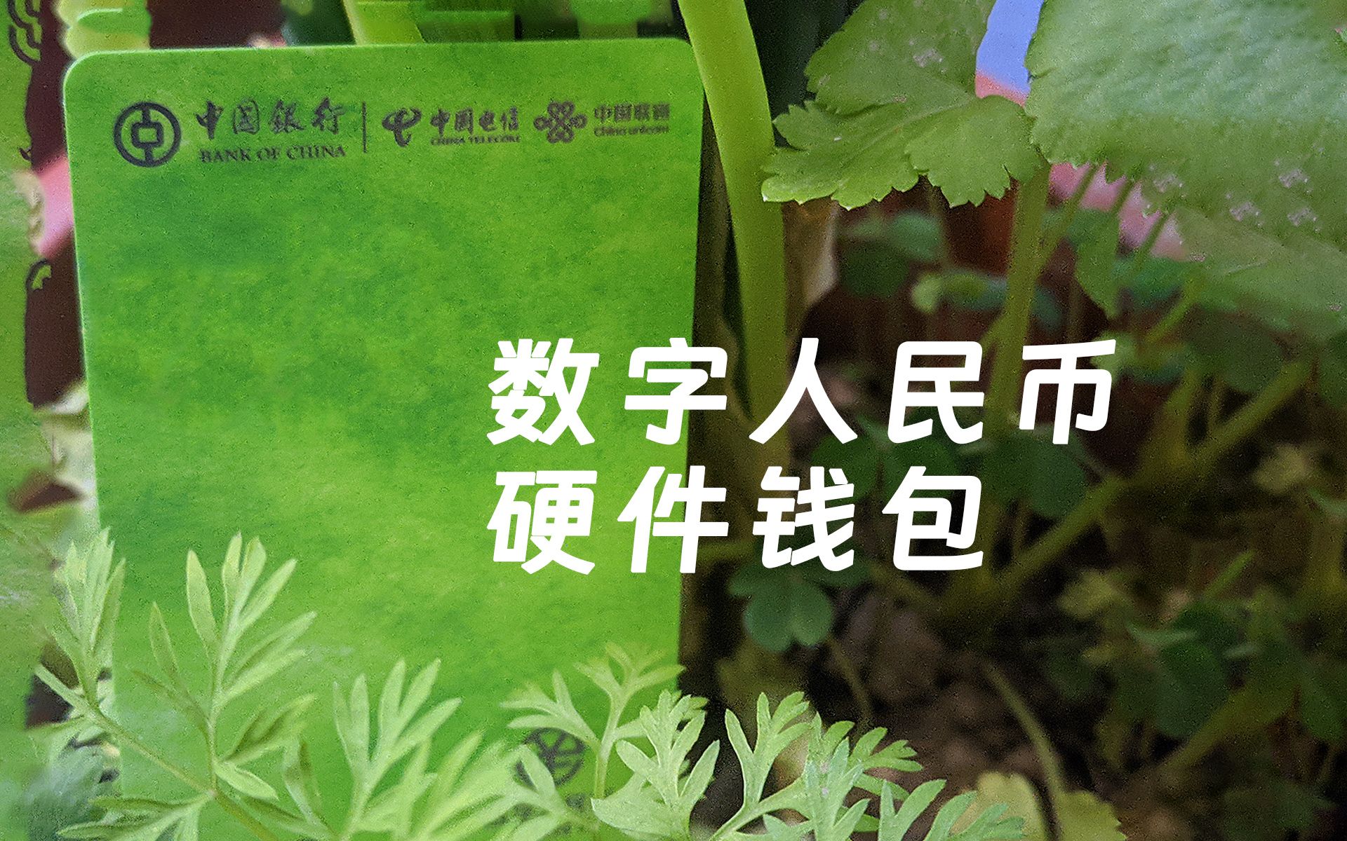 imtoken软件下载_下载软件就能赚钱的app_下载软件应用