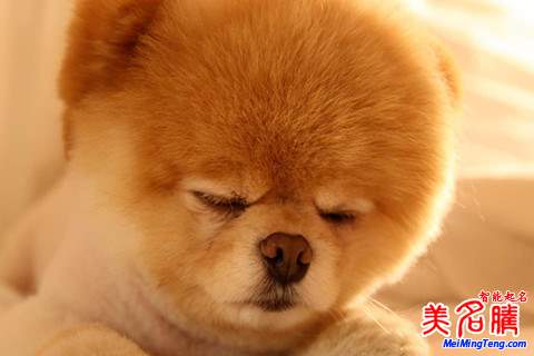 彩色砂石_彩色砂石画图片_沙石镇时光彩色名字